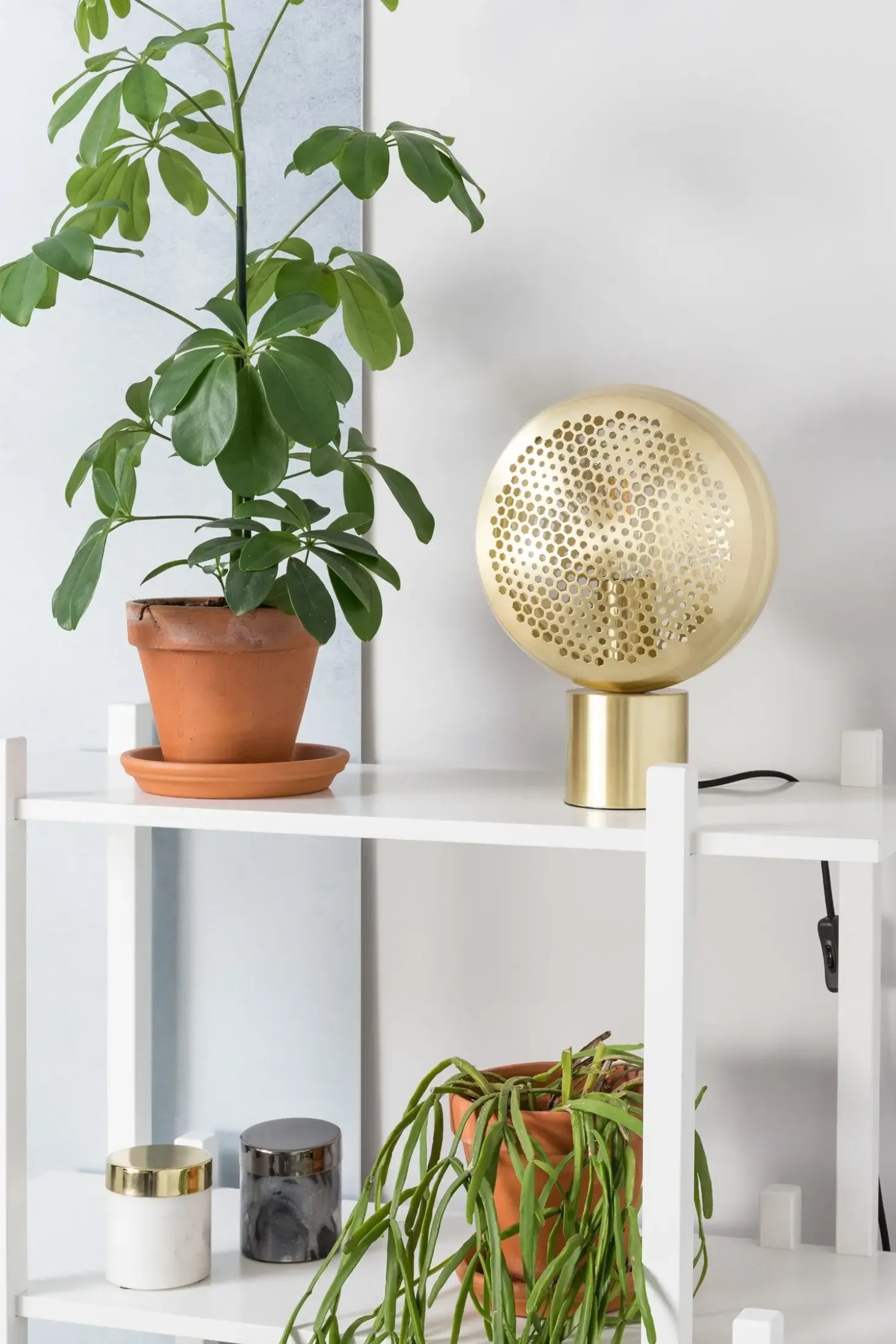 Zuiver - Bordlampe GRINGO messing